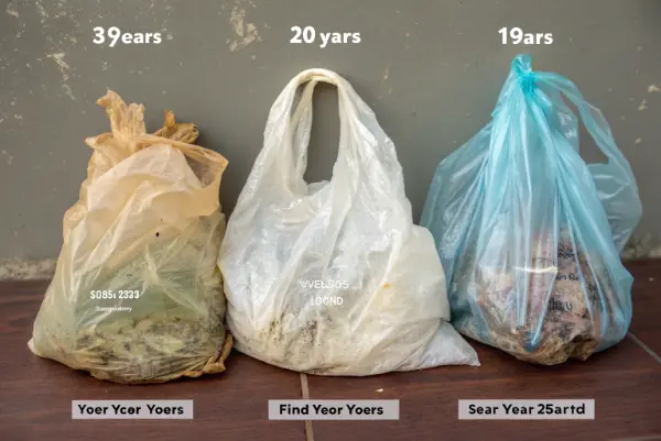 Decomposition Timeline Timeline of decomposition in different environments